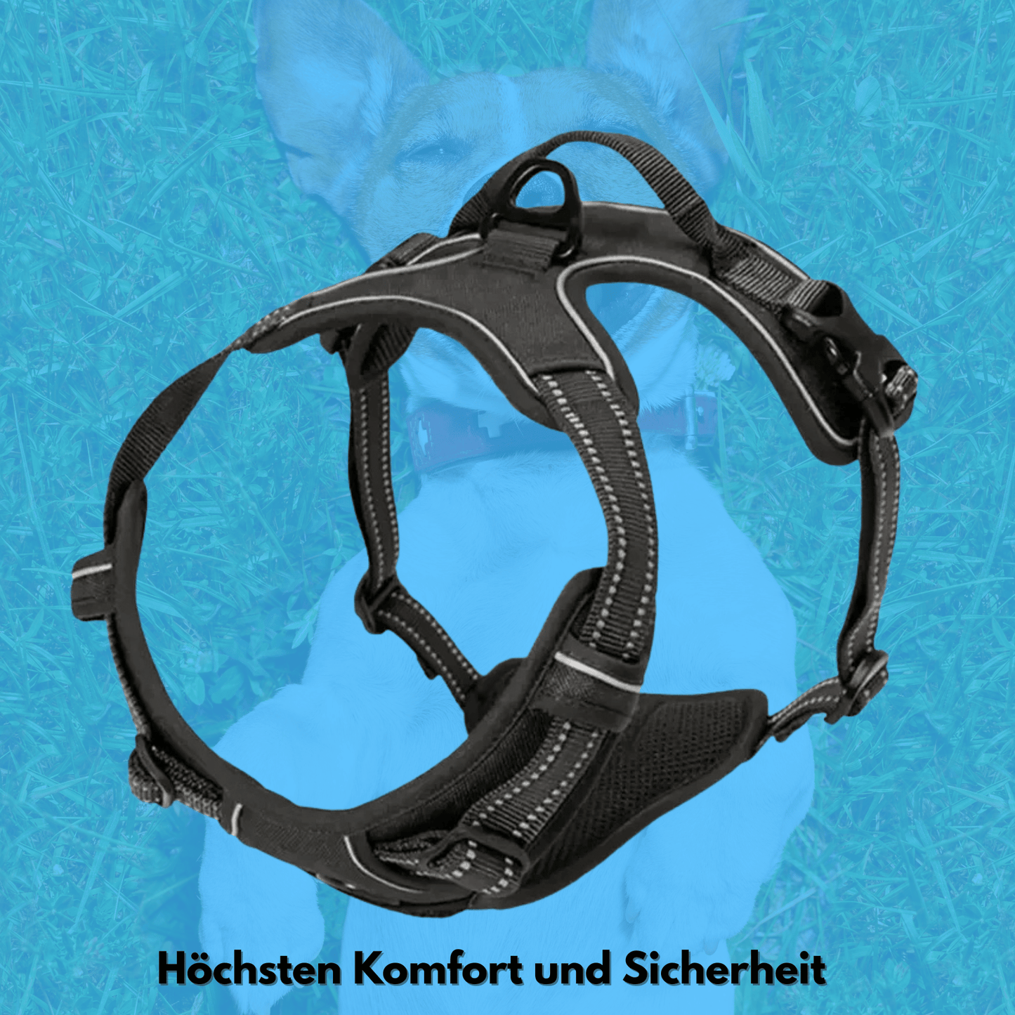 Verstellbares Hundegeschirr – Komfort & Kontrolle