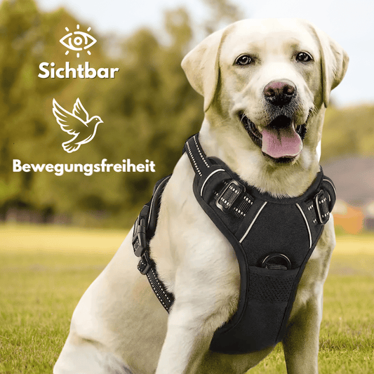 Verstellbares Hundegeschirr – Komfort & Kontrolle